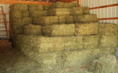 Hay for Sale, Horse Quality, Raleigh NC